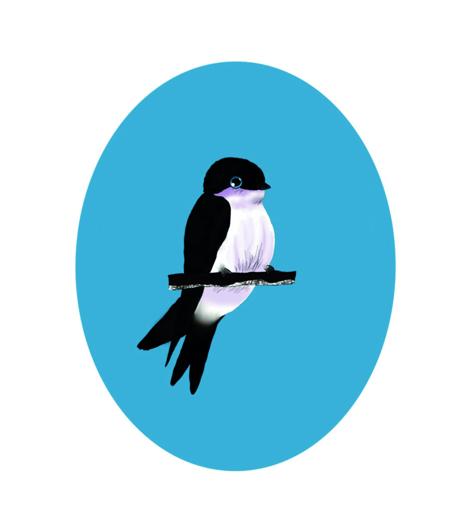 Qhu bllanc logo